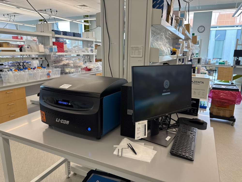 Image of Li-Cor Odyssey DLx Imager